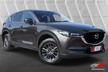 2.0 Benzyna SkyEnergy Car Play Kamera Certyfikat Prezentacja Video!