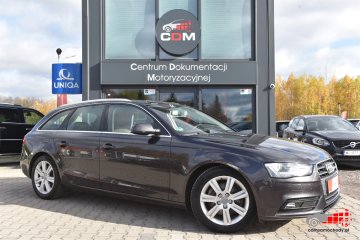 2.0 TDI Ultra Business Edition Brąz Skóry! Certyfikat! Video!