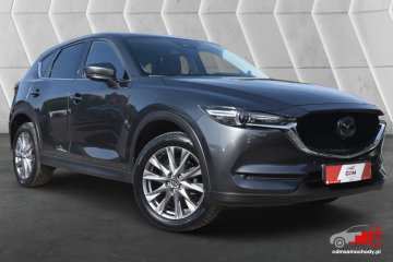 2.0 Benzyna SkyPassion LED Car Play Certyfikat Video!