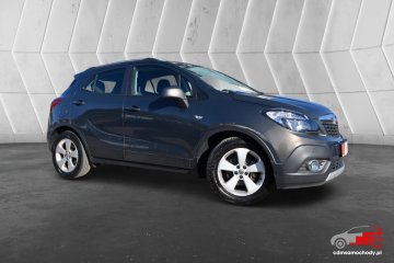 1.4 Turbo Ciekawy Kolor Enjoy Hak Navi Certyfikat Prezentacja Video!